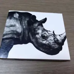 MR.CHILDREN 1992-1995