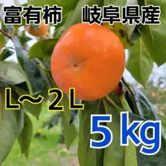 116 富有柿 5kg L2L 甘柿
