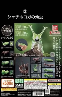 シャチホコガの幼虫　いきもの大図鑑いもむし02　生き物　昆虫　フィギュア