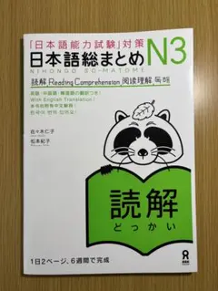 日本語総まとめ N3 読解