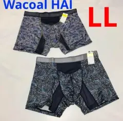 Item thumbnail for item 375faf66-6cb0-43de-84ac-16f2a5e17202