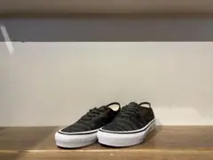 Item thumbnail for item 5d117617-c3bb-449d-b2e2-091fb4c297ac