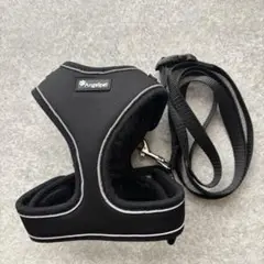 Item thumbnail for item 3836ce34-75b7-47ba-bc38-536e14e59b50