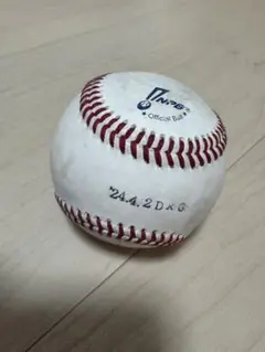 中日　巨人　公式戦ファールボール