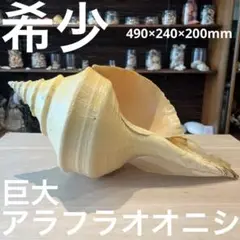 2025年最新】アラフラオオニシの人気アイテム - メルカリ