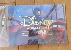 ディズニー　イマーシブ　クリアファイル　ベイマックス