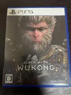 BLACK MYTH WUKONG 黒神話 孫悟空