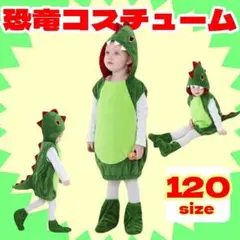 恐竜　120コスプレ　ハロウィン　フワフワ防寒　可愛い　キッズ　ユニバ