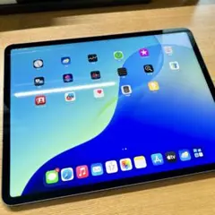 新品iPad Pro第5世代12.9インチ 256GWi-Fi+Cellular