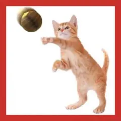 ⭐️猫ちゃんボール ネコの遊び 爪とぎ 猫用ボール おもちゃ ペット用品⭐️