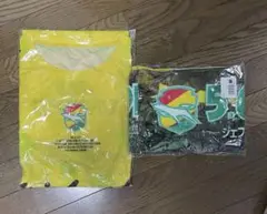 2025年Tシャツ タオルマフラー ジェフユナイテッド千葉 国立戦