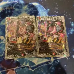 禁断の轟速ブラックゾーン　2枚セット