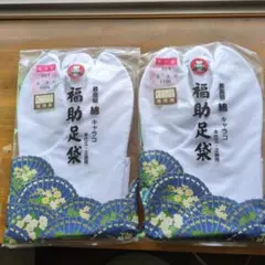 Item thumbnail for item 6210181a-a9c9-421d-b560-433e21e75fe2