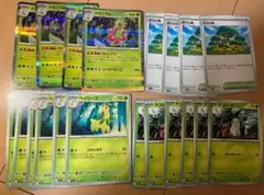 メガニウム進化ライン　活力の森　計２０枚