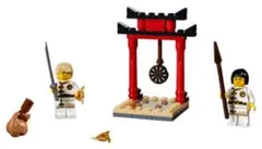 LEGO Ninjago 30530