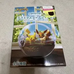 【新品】ポケモン テラリウムコレクション 13 ピカチュウ&イーブイ