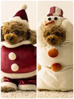 Item thumbnail for item 3f304956-d616-41aa-b10e-483a4d52fbdd