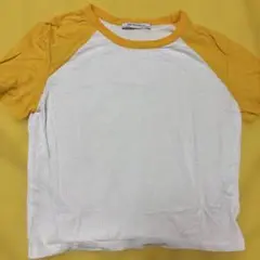 ラグランTシャツ