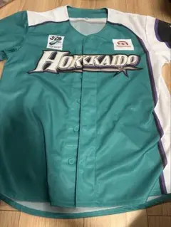 北海道日本ハムファイターズ2016年版ユニフォーム