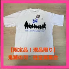 【新品未使用タグ付き】鬼滅の刃　柱集合Tシャツ
