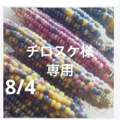 チロスケ様　専用
