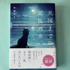 天国までの記憶列車