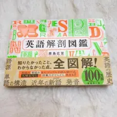 【新品】英語解剖図鑑