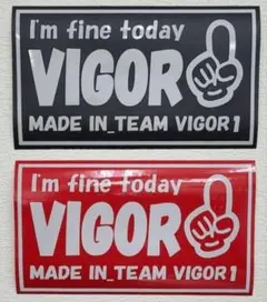 VIGOR1. バッグ、ステッカーセット m84036906174_1.jpg?1728565230