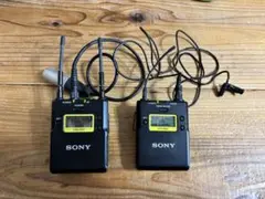 SONY UWP-D11 箱、付属品、保証書あり (UWP-D21代替) SONY UWP-D11 箱、付属品、保証書あり (UWP-D21代替) - メルカリ