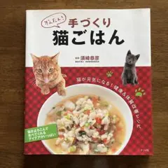 かんたん!手づくり猫ごはん