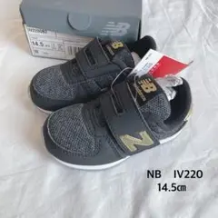 Item thumbnail for item 5c14b48d-412a-4327-8f94-926f3fab7a6f