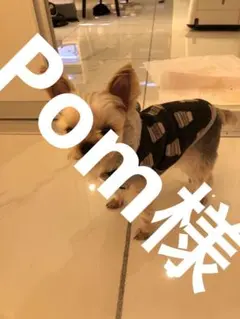 専用