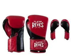 レイジェス(reyes) トレーニング用グローブ