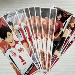 ハイキュー!! ロングステッカー⑦