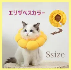 Item thumbnail for item ee073e0a-15fe-4803-9d30-360b421807db