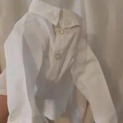 Item thumbnail for item 45d539e9-5e11-4114-9e86-1b1e45a285bd