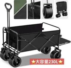 Item thumbnail for item 740439d3-483d-46a6-9b4e-aff71d18588b