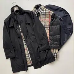 Item thumbnail for item 655c2f09-df93-4308-adb4-01379fcfefae