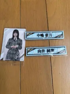 Item thumbnail for item d8ce52c9-2cba-4160-93c3-70e907a519ce