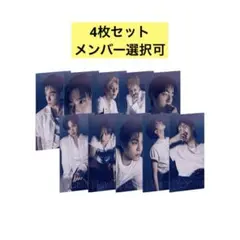 Pleasure TREASURE BLUE ver. 4枚セット 未開封