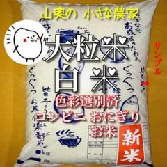 新米 棚田の幻の 大粒米 酵素米 お米 玄米 5キロ「標準 白米に精米」希少