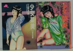 少女菜美　2.4巻　三条友美　ミリオンコミックス