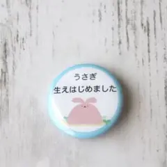 【生えうさぎ缶バッジ】オリジナルキャラクターユニークイラスト雑貨　ゆるかわグッズ