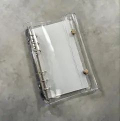 Item thumbnail for item ee707385-f53d-479a-b71b-a0ed89388c45