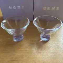 Item thumbnail for item a8e070d8-3216-404a-9783-9c9dfc985766