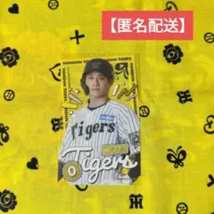 【匿名配送】 阪神タイガース ラッフルくじ クリアカード 木浪