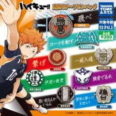 ハイキュー!! ピンバッジ 8個セット