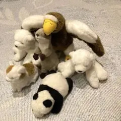 動物ぬいぐるみ ワシ カワウソ ホッキョクグマ ネコ パンダ