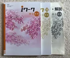 夏休み予習復習に【日文テキスト】iワーク 中3 社会 + 解説書3冊セット