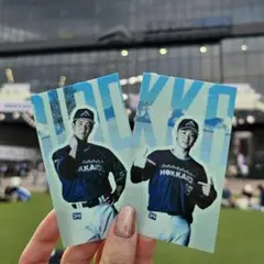 We love Hokkaido ファイターズ シール 山﨑福也 松本剛